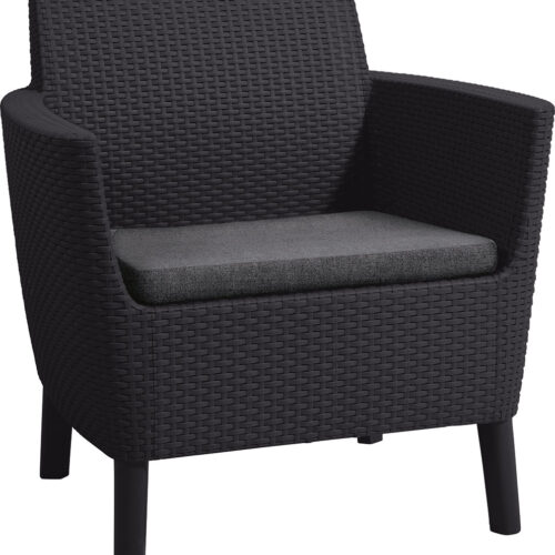 Кресла Salemo Duo (2 chairs in box) графит