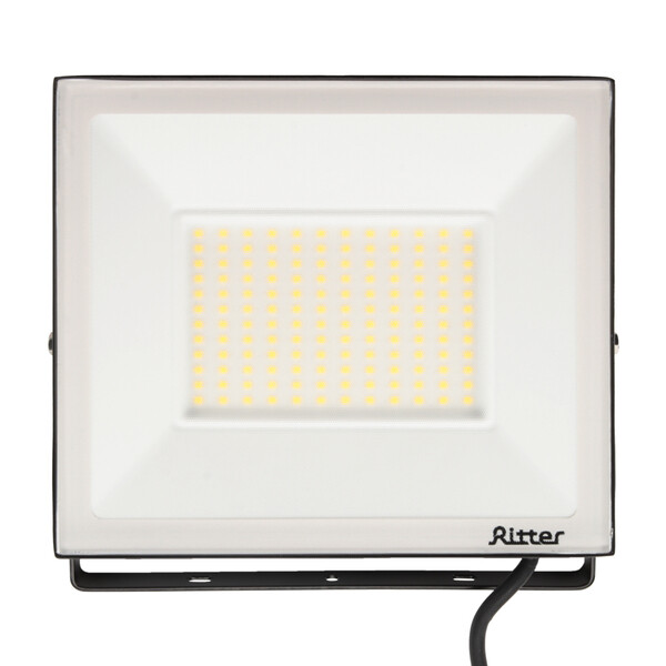 Прожектор светодиодный Ritter Profi 4000К 100 Вт IP65 черный